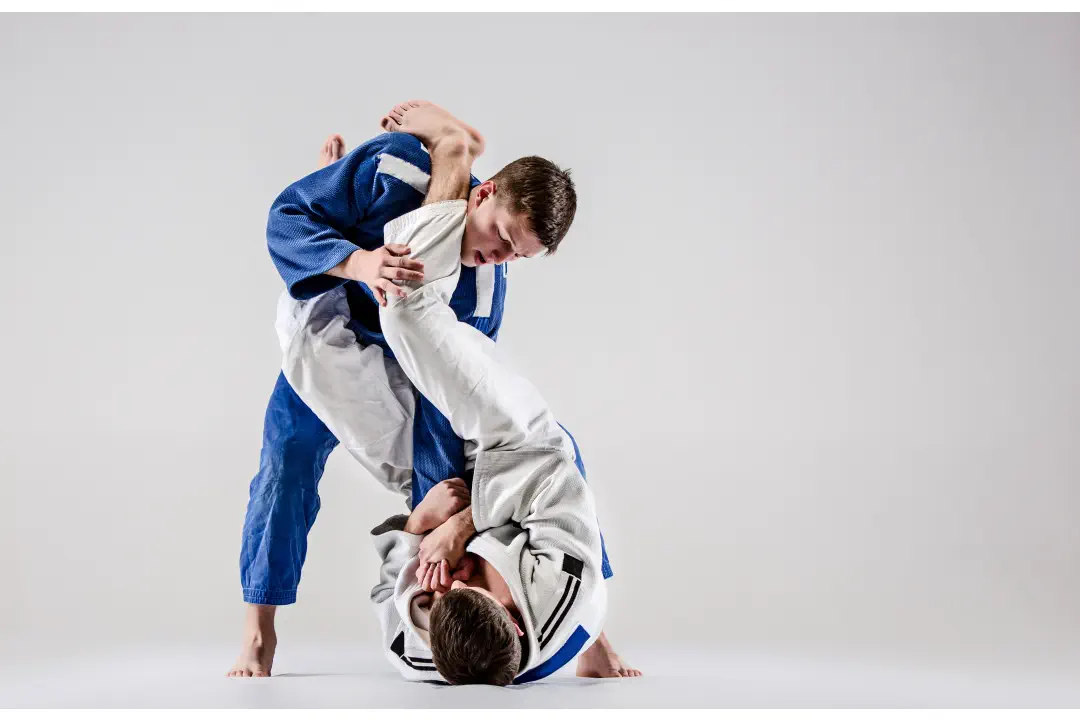 jujitsu brésilien